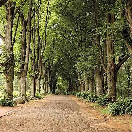 Dworek Bukowy Park 3* شتشيتسين
